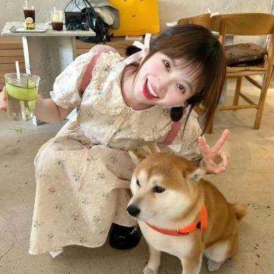 谎言风暴